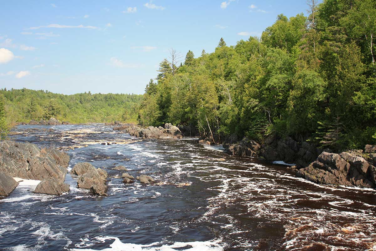 image of running river with rapids and trees