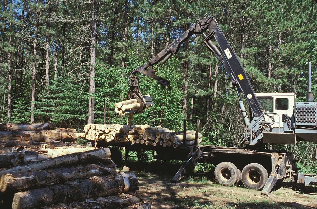 image of a scorpion model tree harvester stacking timber on trailer