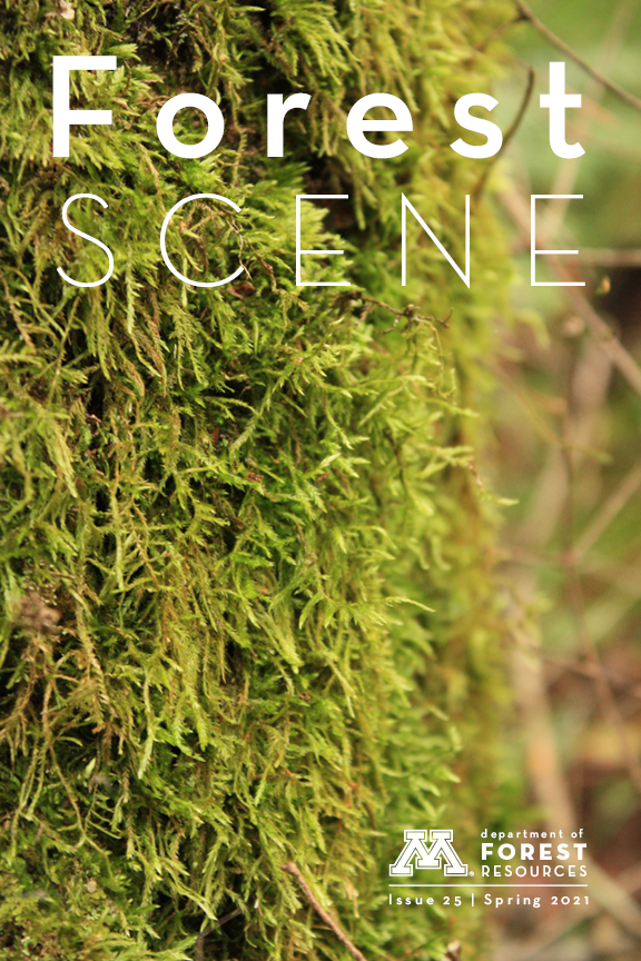 Cover of Forest Scene newsletter featuring a mossy tree