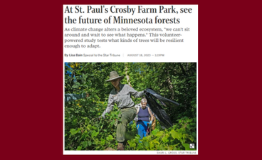 Screenshot of the Star Tribune article "At St. Paul's Crosby Farm Park, see the future of Minnesota forests." The title is at the top. Below it is the subtitle: "As climate change alters a beloved ecosystem, 'we can't sit around and wait to see what happens.' This volunteer-powered study tests what kinds of trees will be resilient enough to adapt." At the bottom of the screenshot is a photo of women in field and work gear walking in a line through dense underbrush.