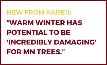 A white rectangle outlined in maroon is filled with text. At the top, gold text reads, "New from Kare11." Below that is the name of the article written in maroon text.